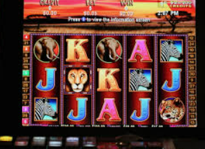 金沙集团app2024最新版